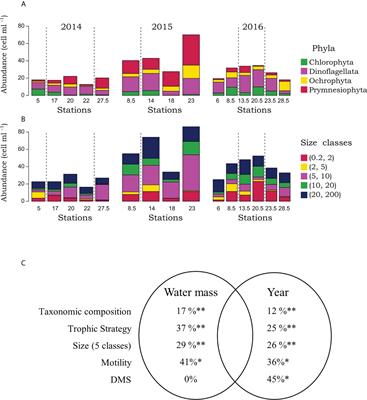 Succession of protistan functional traits is influenced by bloom timing